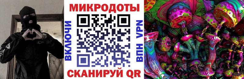 Галлюциногенные грибы Psilocybe  как найти наркотики  Камешково 