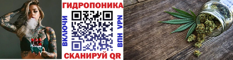 МАРИХУАНА сатива  купить наркоту  Камешково 